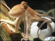 Pulpo Paul