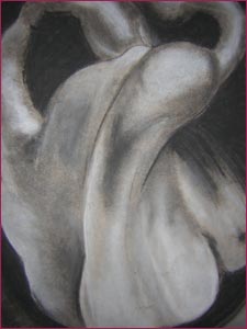 Drawing of pepper - chalk and charcoal