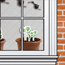 French Bean (Blue Lake)