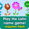 The Latin name game
