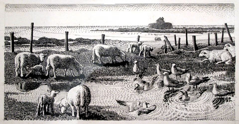 Charles Tunnicliffe's monochrome illustration of Porth Cwyfan