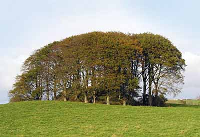 Dundermot Mound near Ballymena