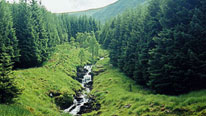 Theme: Scotland