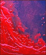 Picture: Painting by Annie Hall (detail)