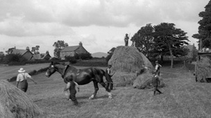 Farm workers lead a horse through a field. Other labourers are at work building large haystacks.