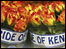 bunches of flowers from Kenya