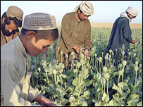 مواد م خدر
