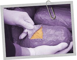 Customs officer examines part of 160kg haul of heroin