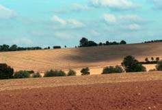 pastoral idyll