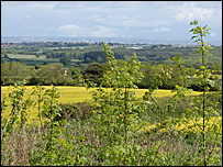 Isle of wight countryside