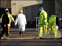 İngiltere'de kuş gribiyle mücadele