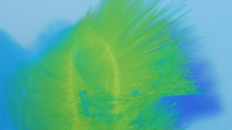 Body Paint by Mehmet Akten