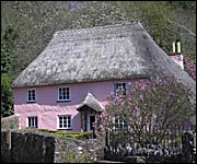 Thatched cottage