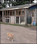 Caroline's original home