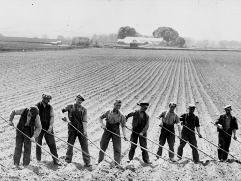 A line of farm workers with hoes at work in a large ploughed field.