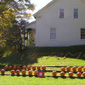 Pumpkins