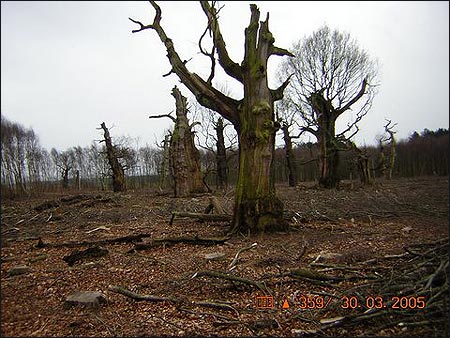 Where would Robin hide now? 