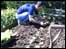Campbeltown Community Organic Garden