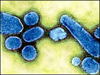 swine flu