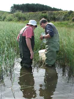 Lionel Kelleway and Iain Barber look for sticklebacks