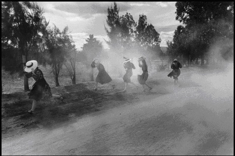 Larry Towell, Mennonites, 1994 © Magnum Photos