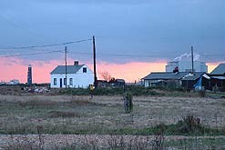 Dungeness