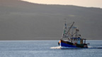 Lone fishingboat at the Sound of Mull.