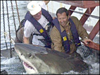 رامون بونفيل در کنار کوسه اقيانوس پيما (Staverees/MCM)