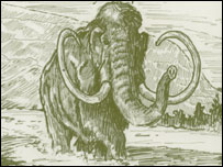 A mamouth on the front cover of the book