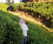 Yasmene on a tea plantation in Nuwara Eliya
