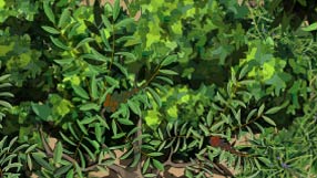 A detail from the takeaway plan