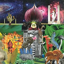 Review of New Magnetic Wonder