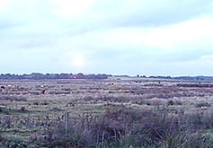 howland's marsh
