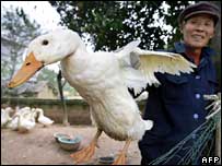 Numri i viktimave në Kinë po rritet