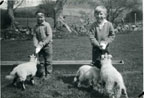 Roger and friend feeding the lambs