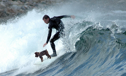 And here, the legend himself out ahead of Nick 'Le Serpente' Bateson. Ladies and Gentlemen, I give you our surf-dawg ... 'MILO'