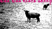 Baa baa black...