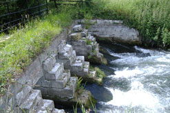 a view of Egdon Heath