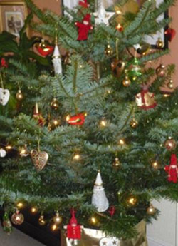 The Keeler Christmas tree