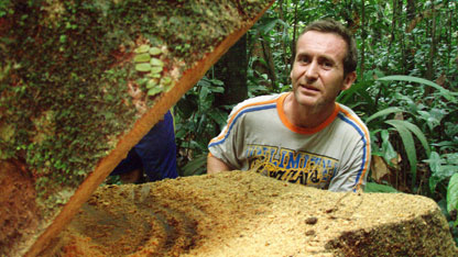 Bruce with his half-cut tree