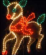 Lit up reindeer