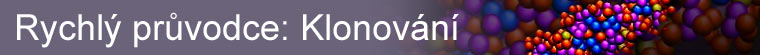 Rychlý průvodce: Klonování