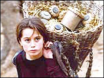 لاک پشت ها به پرواز در می آيند