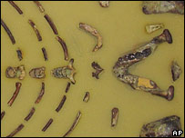 بقایای کودک انسان نمایی که لوسی نام گرفت