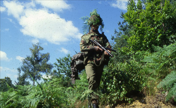 Camouflaged Royal Engineer