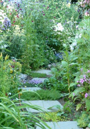 Eldenhurst in High Summer