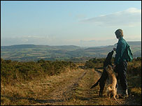 The view at Aylesbeare Common