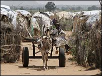 Otaş kampındaki mülteciler