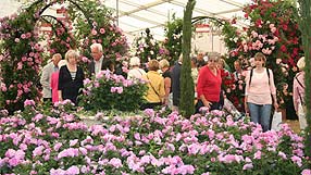 Crowds in Rose Pavilion at Hampton
