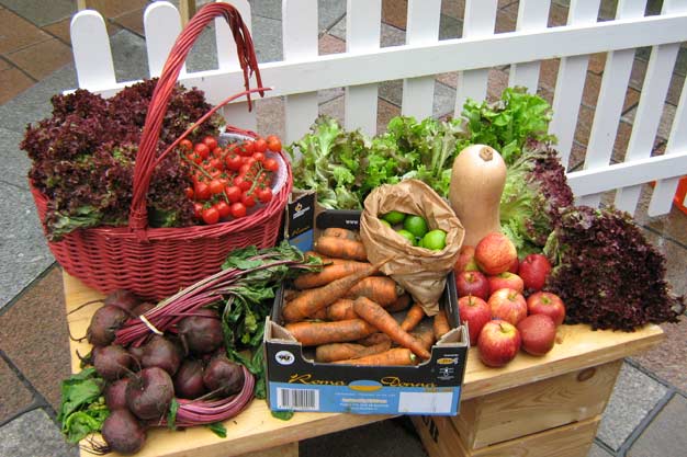Lots of lovely fresh vegetables